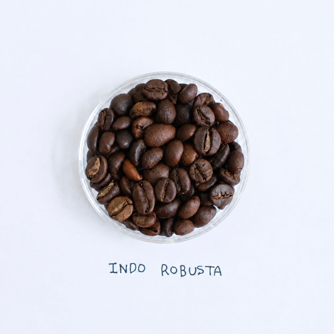 India Robusta